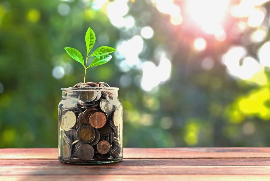 coins with a plant growing in it